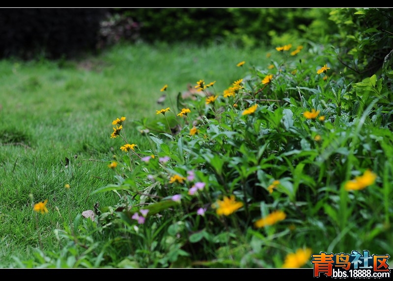 DSC_0198.JPG