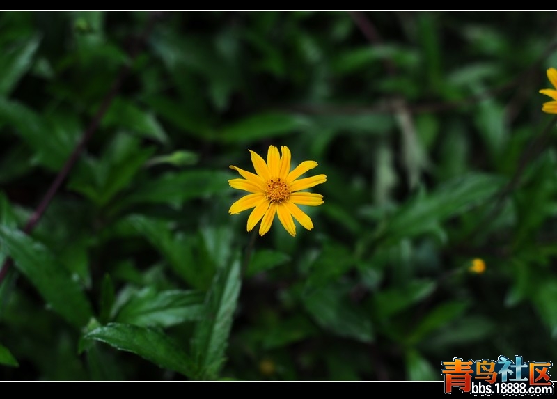 DSC_0192.JPG