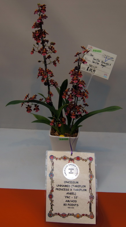 DSC09764.jpg