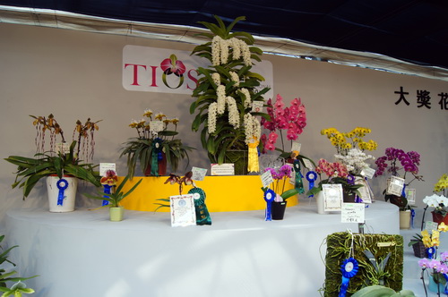 DSC09747.jpg
