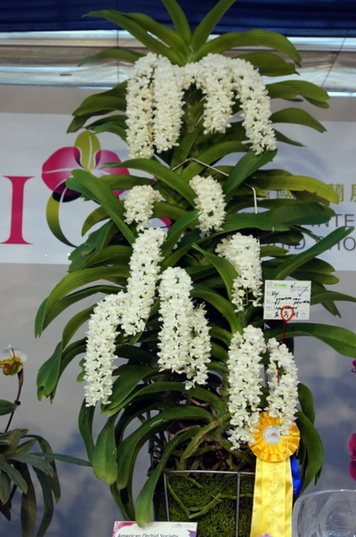 DSC09750.jpg