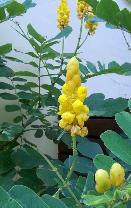 100_0136.jpg