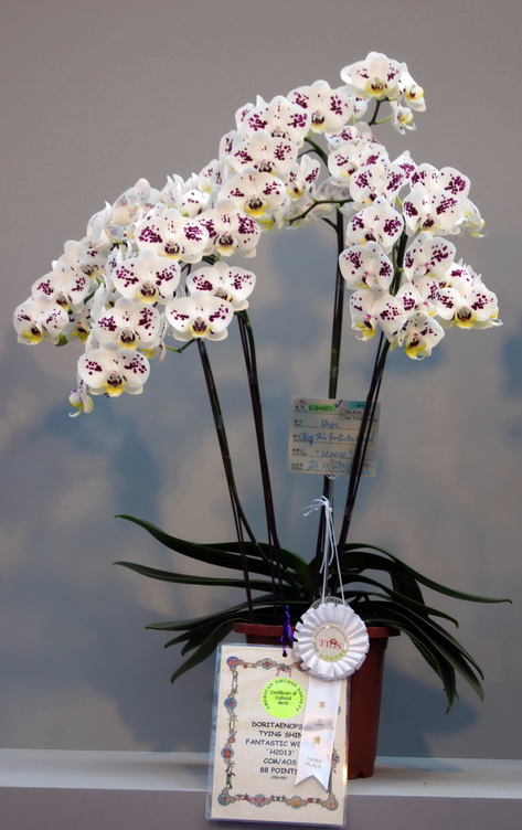 DSC09752.jpg
