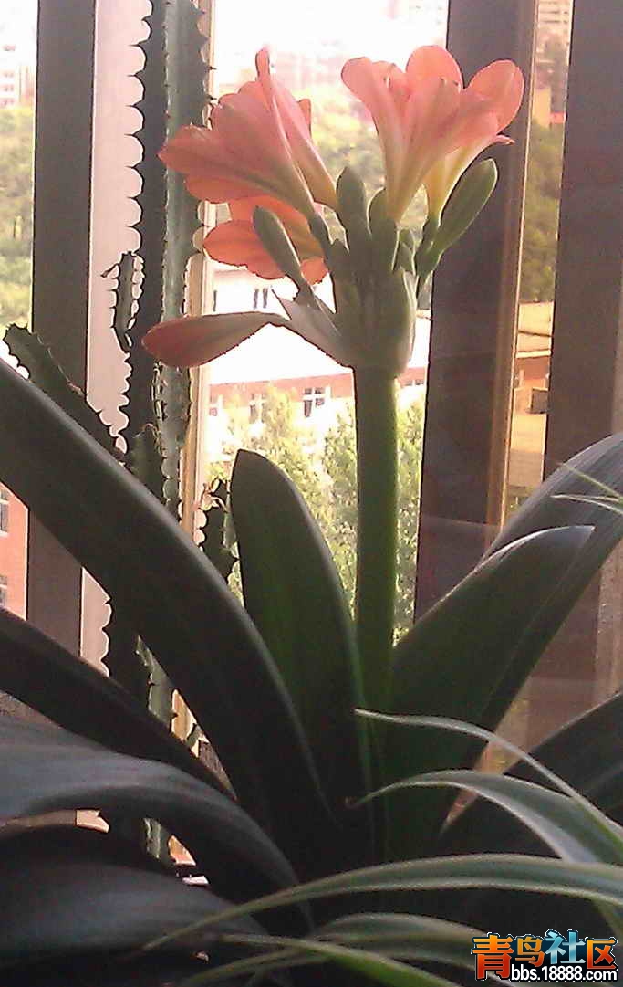 IMAG0134.jpg