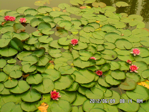 SAM_0839_副本.jpg
