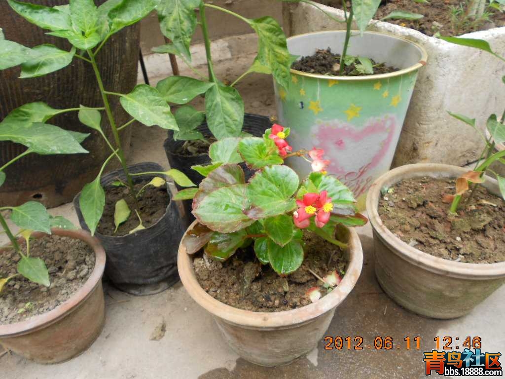 DSCN0131.jpg