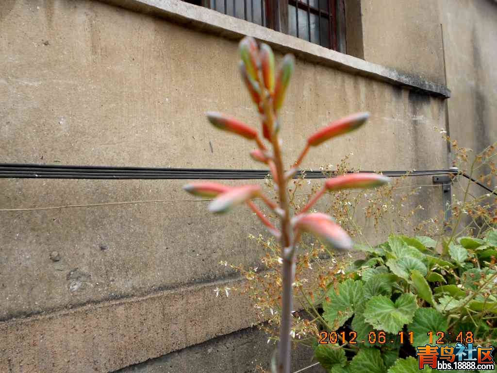 DSCN0146.jpg