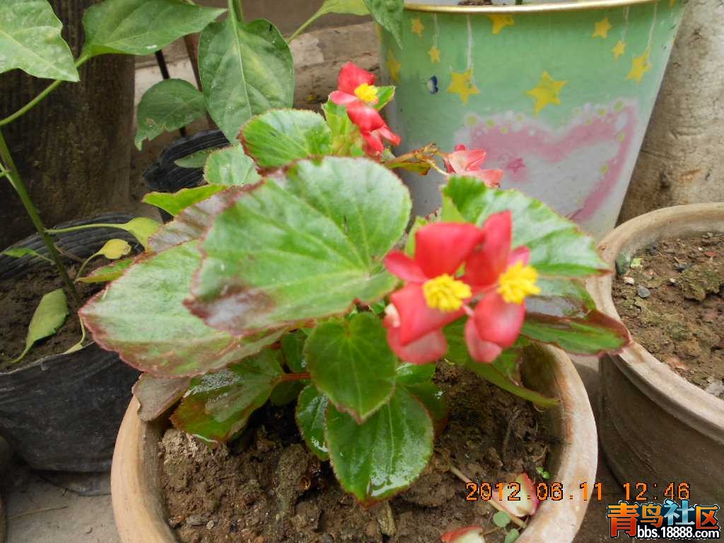 DSCN0130.jpg