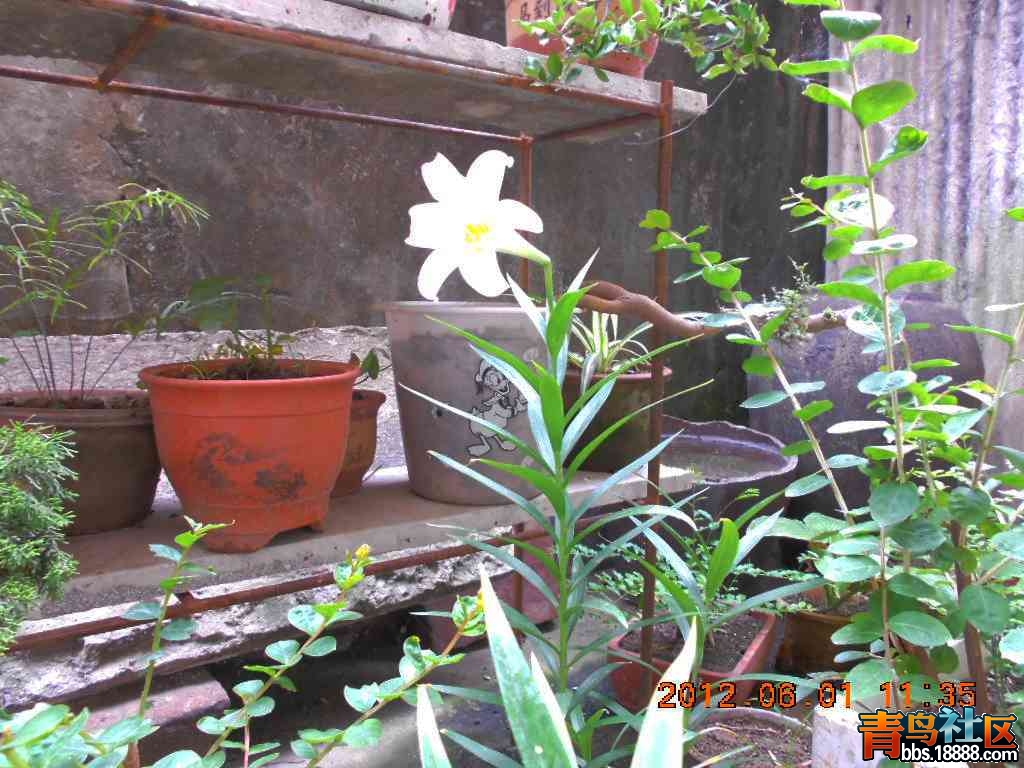 DSCN0108.jpg
