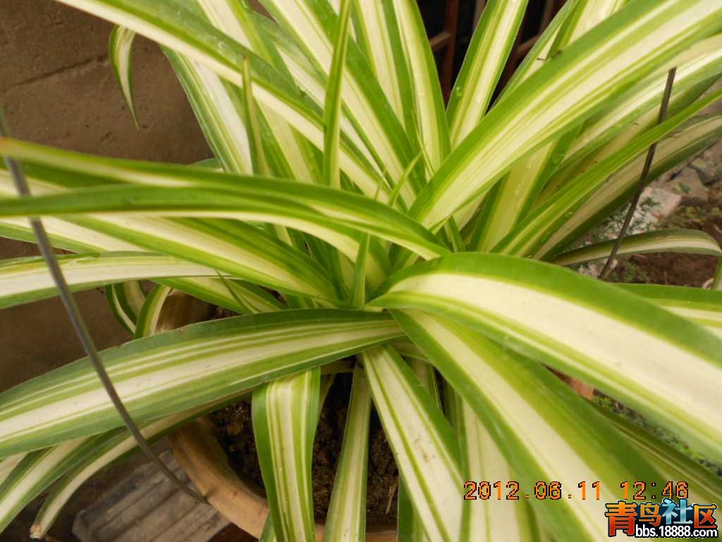 DSCN0133.jpg