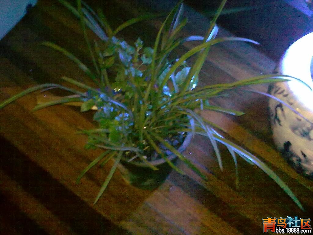 20120617209.JPG