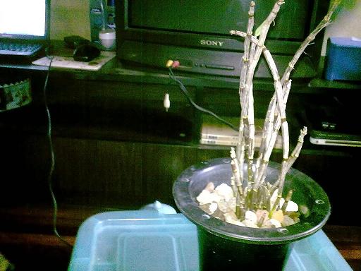 20120619259.JPG