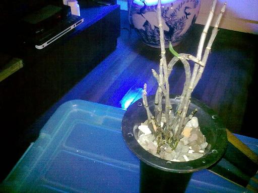 20120617227.JPG
