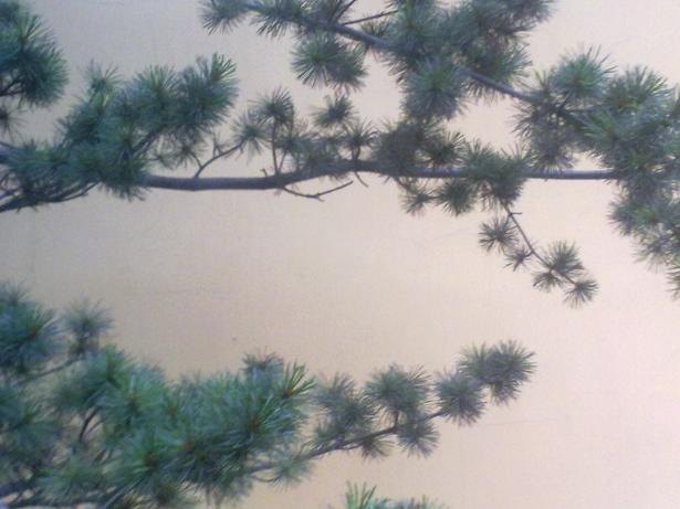 20120627431.jpg