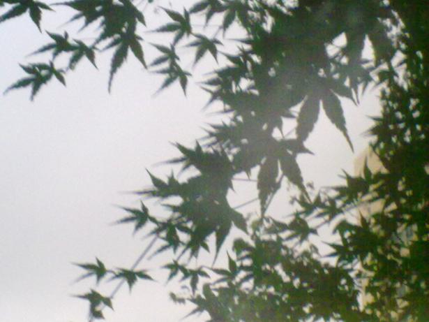 20120626391.jpg