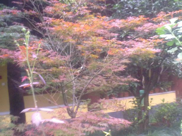 20120627439.jpg