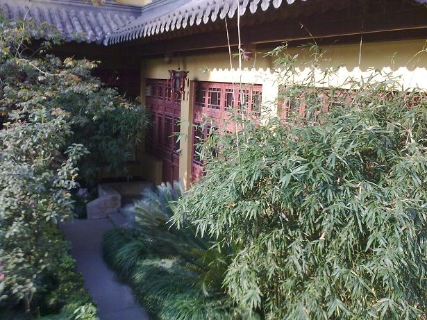 20111122054.JPG