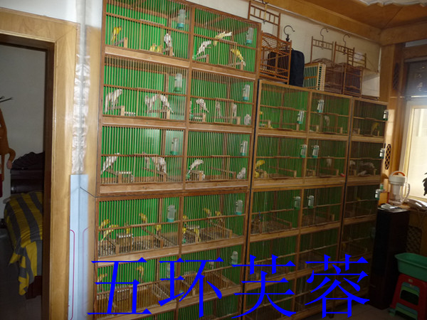 P1040728_副本.jpg