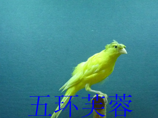 P1040898_副本.jpg