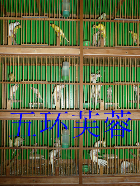 P1040749_副本.jpg
