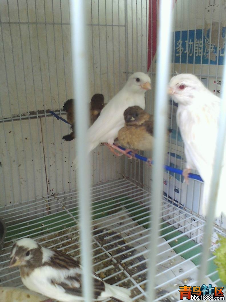 IMG0622134602.jpg