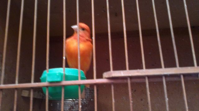 20110714483.jpg