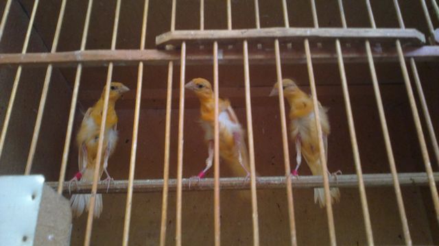 20110714491.jpg