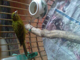 IMAG0075.jpg