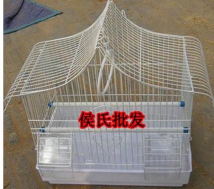 111.JPG