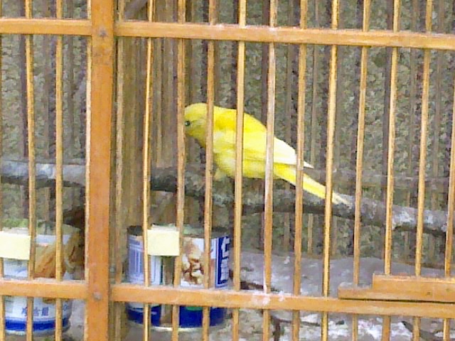 20120619730.jpg