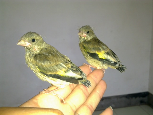 20120615690.jpg