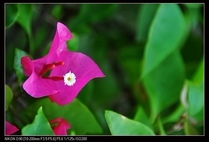 DSC_0217.JPG