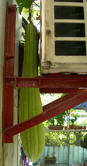 DSCN4931.jpg