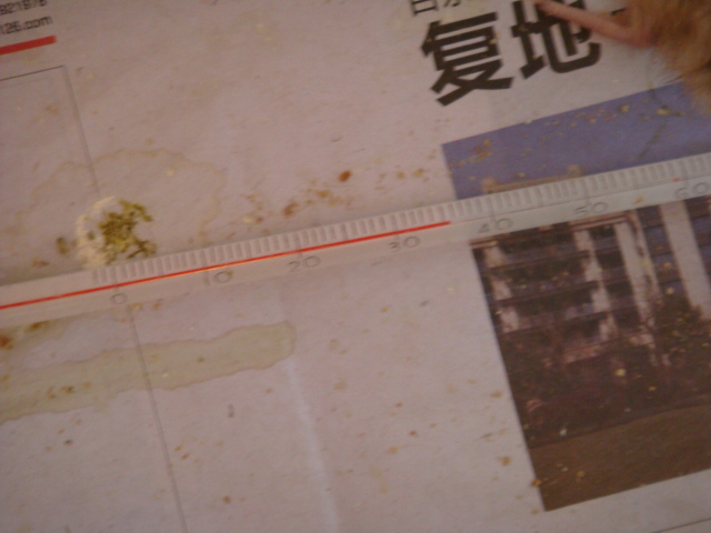 DSC01719.JPG