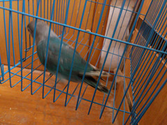 DSC_0521_副本.jpg