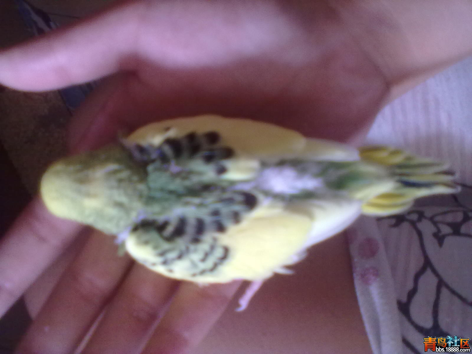 201206234400.jpg