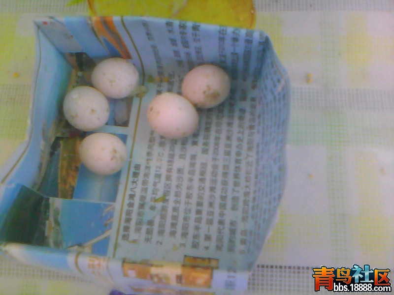 20120611A016.jpg