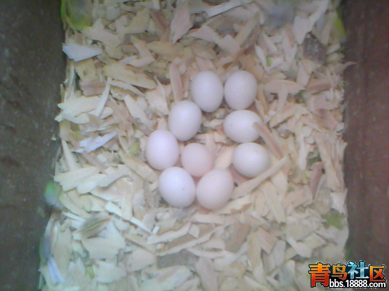 20120325D003.jpg