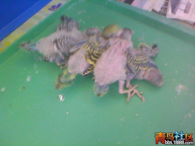 20120611A007.jpg