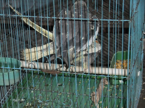 DSCF2248_调整大小.jpg