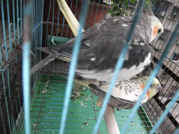 DSCF2251_调整大小.JPG