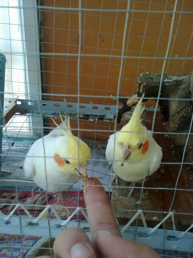20120618052.jpg