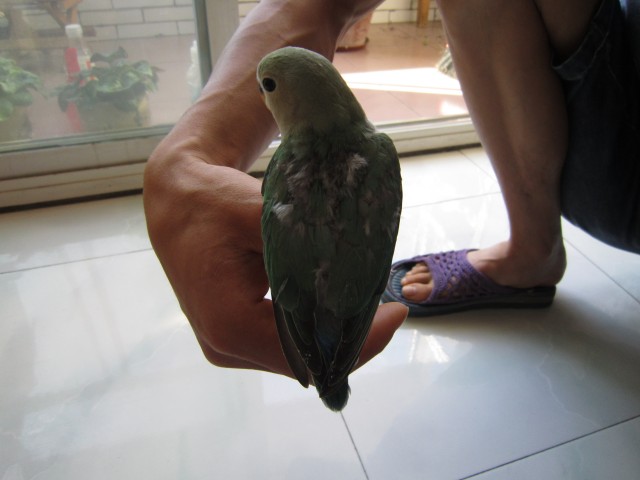 IMG_0282 (2).jpg