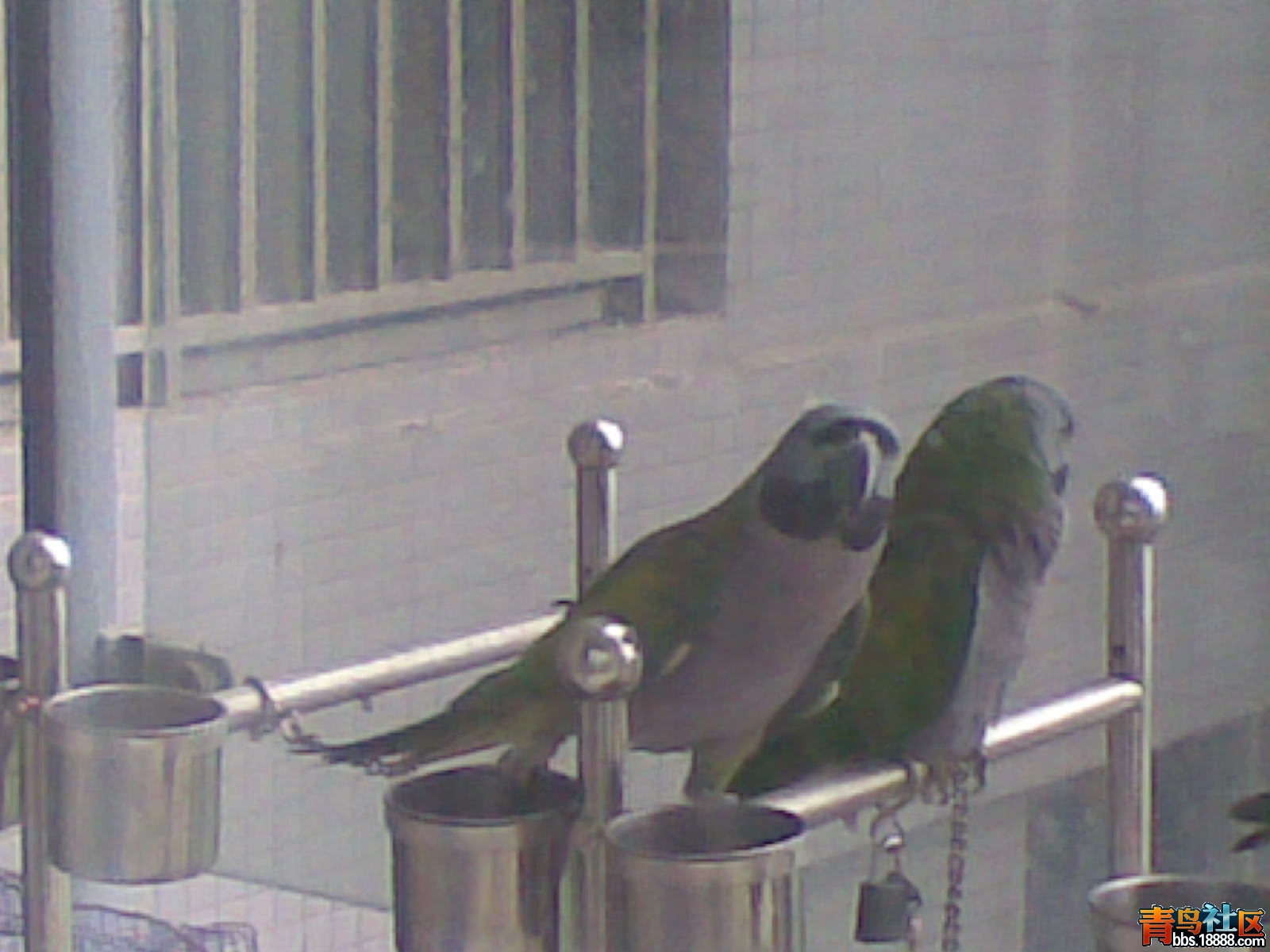 20120626.jpg
