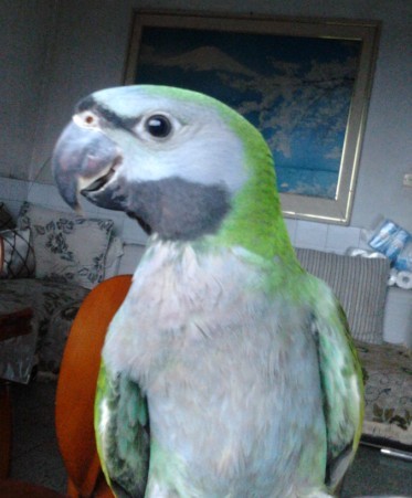 04.jpg