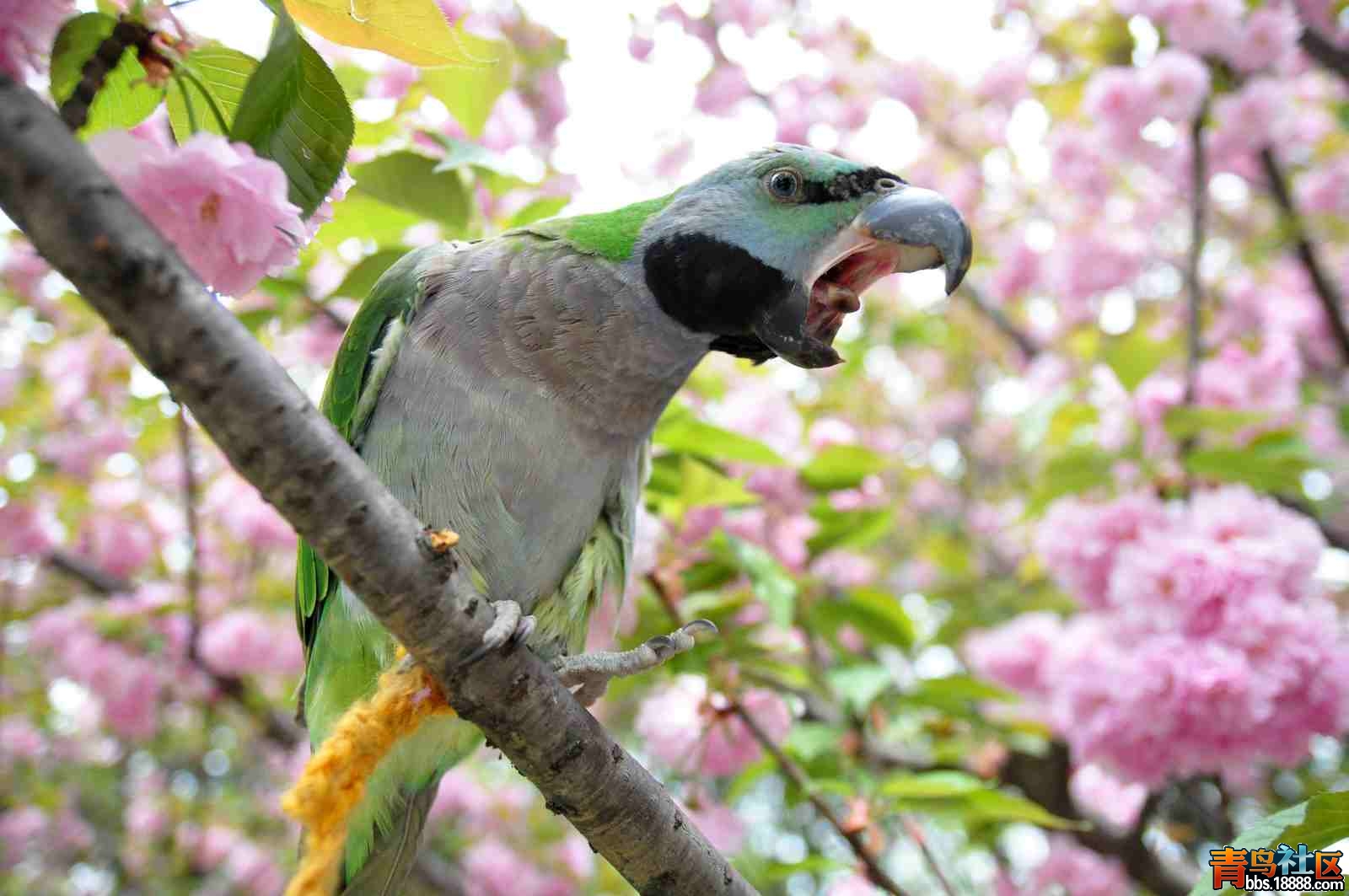 DSC_0115.jpg