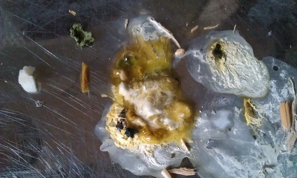 晚上六点刚拉的1.jpg