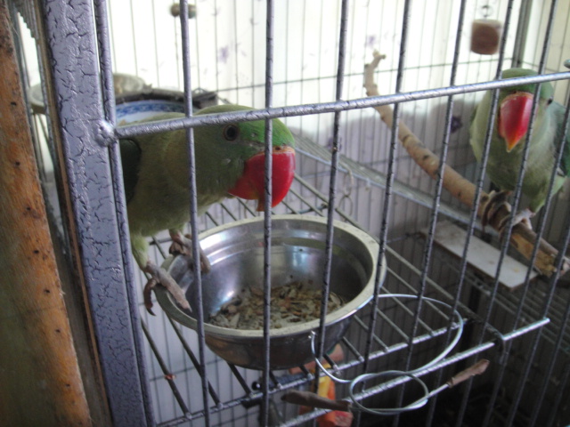 DSC01399.JPG