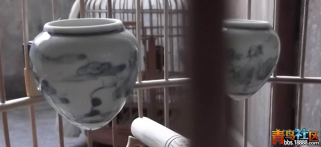 照片 007.jpg