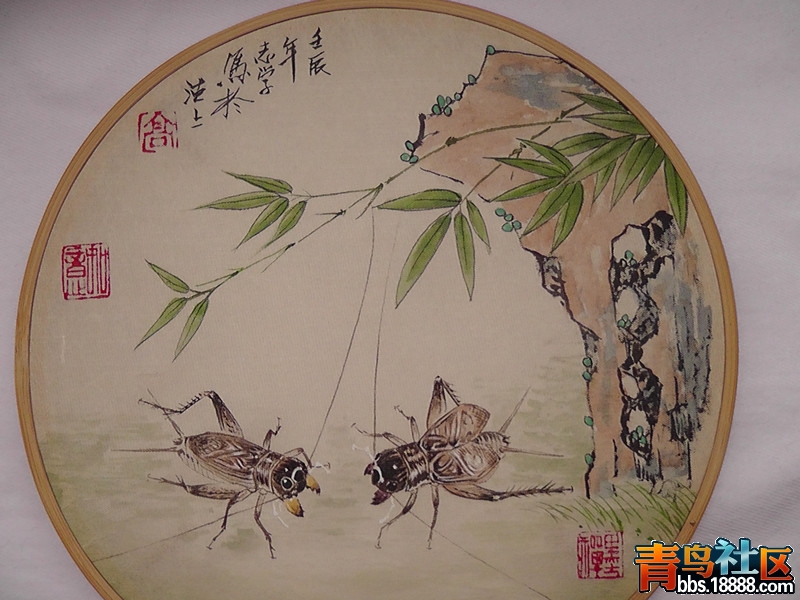 S2370013_副本.jpg